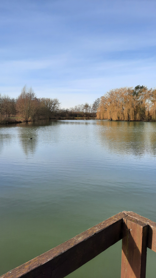 Bild mit Blick auf den Sauteich im Ortsteil Grassel